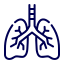 lungs-icon